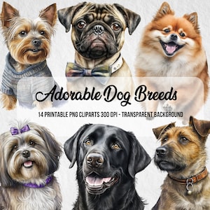 Imágenes prediseñadas de razas de perros, impresión de perros, perro PNG, perro de acuarela, imágenes prediseñadas realistas, descarga digital instantánea, paquete de imágenes prediseñadas, efecto de acuarela, manualidades de papel