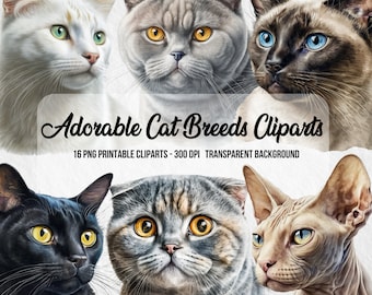 Cat Breeds Clipart,Digital Cat Print,Watercolor Cat,Realistic Cliparts,Instant Digital Download,Clipart Bundle,Watercolor Effect,Paper Craft