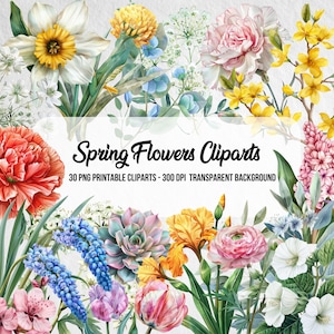 30 Spring Flowers Cliparts,Watercolor Effect,Card Making Kit,Scrapbook,Junk Journal,Instant Digital Download,Journal,Floral Spring png paper