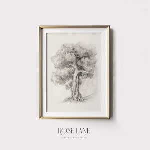 Arte de boceto de árbol antiguo / Arte de pared de dibujo de paisaje neutro / IMPRIMIBLE Digital