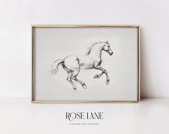 Peut inclure: Un dessin au trait noir et blanc d'un cheval au galop, encadré dans un cadre doré.