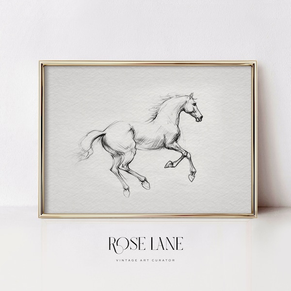 Vintage Horse Art Print Sketch | Antique Horse Etching | Eclectic Neutral Digital PRINTABLE Art