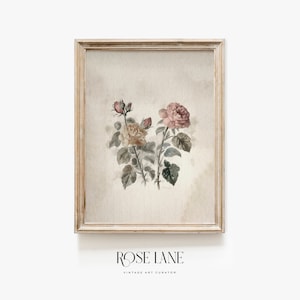 Antique Pink and Cream Watercolor Floral Botanical Art | Girls’ Room Decor | French Country Home Decor