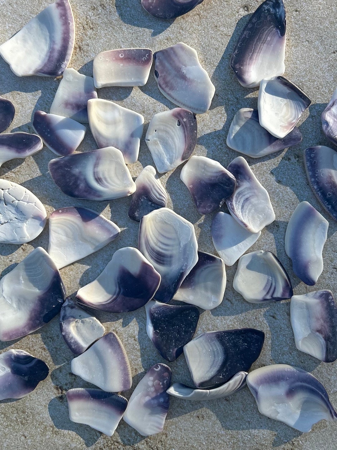 Cape Cod Wampum Shell Pieces: Jewelry Making Supplies (approx. 45 ...