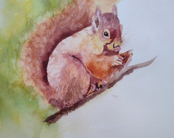 Squirrel greetings card