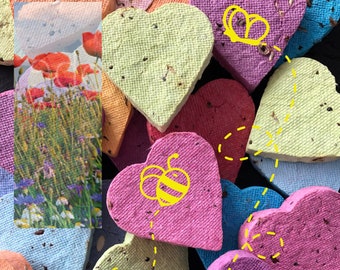Seed hearts wildflowers without grasses, loose and unpacked