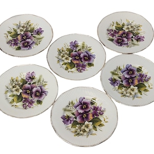 Vintage Crownford Queen&#39;s Rosina Bone China 8 Inch Plates - Set of Six