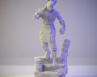 Sub Zero Statue STL File: Mortal Combat 3D Print (Digital Download)