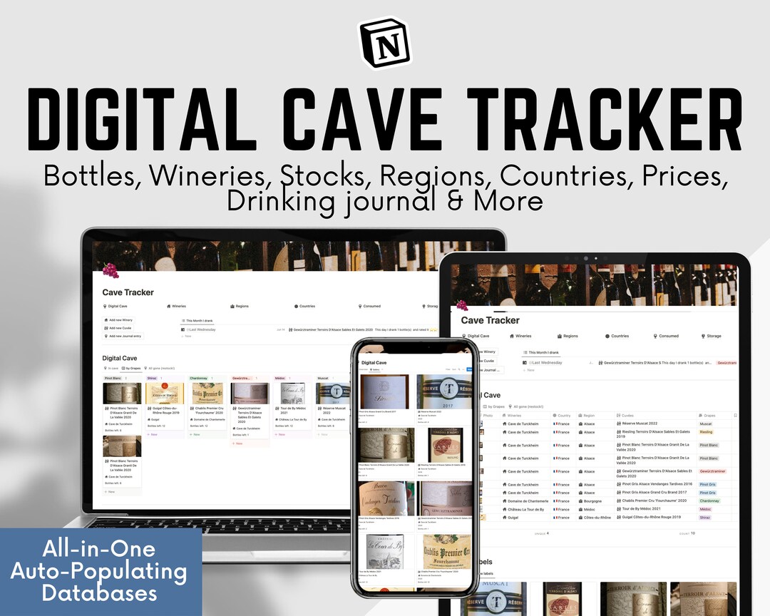 Notion Wine Cellar Tracker Notion Wine Bottle Inventory Wine Etsy