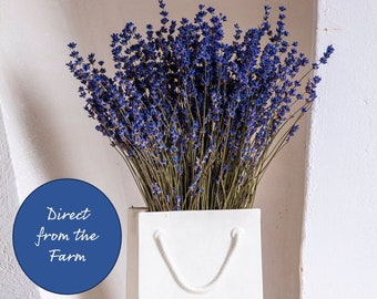 English Dry Lavender Bunches | Fragrant | Dark Blue | UK | Scented | Free Delivery | 150 Stems | Dried Flowers | Wedding