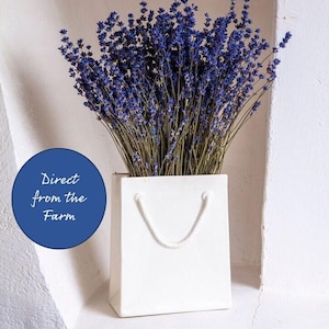English Dried Lavender Bunch | Dark Blue, Fragrant (150 Stems)