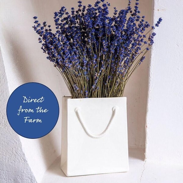 English Dried Lavender Bunch | Dark Blue, Fragrant (150 Stems)