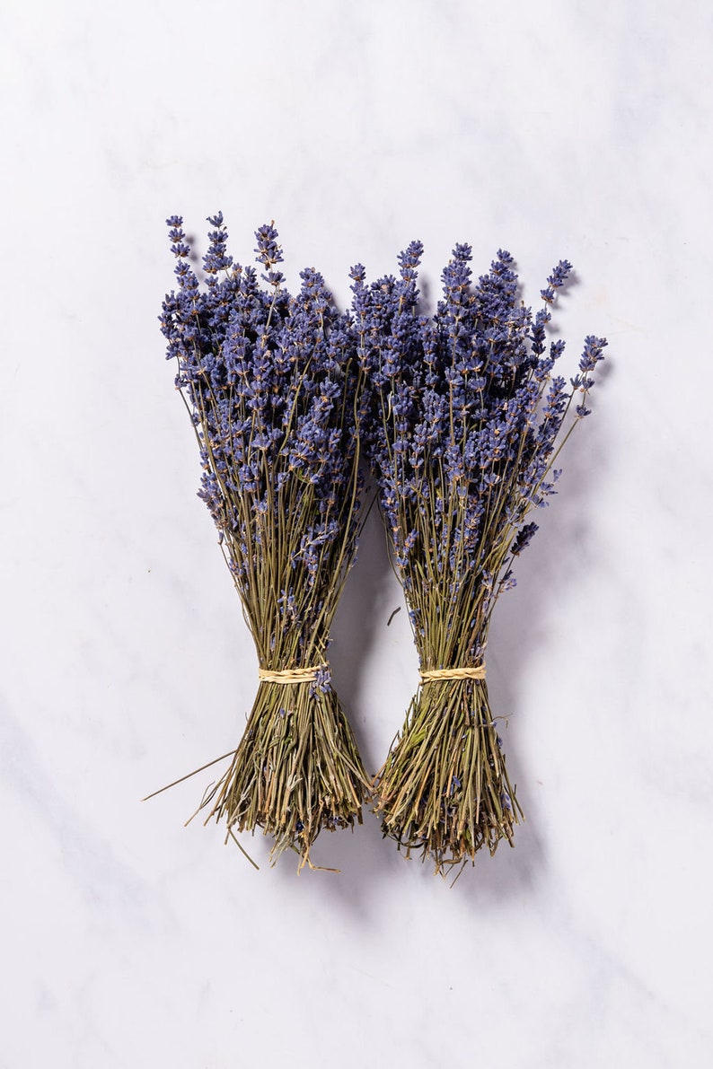 English Dried Lavender Bunches Fragrant Dark Blue UK Etsy UK