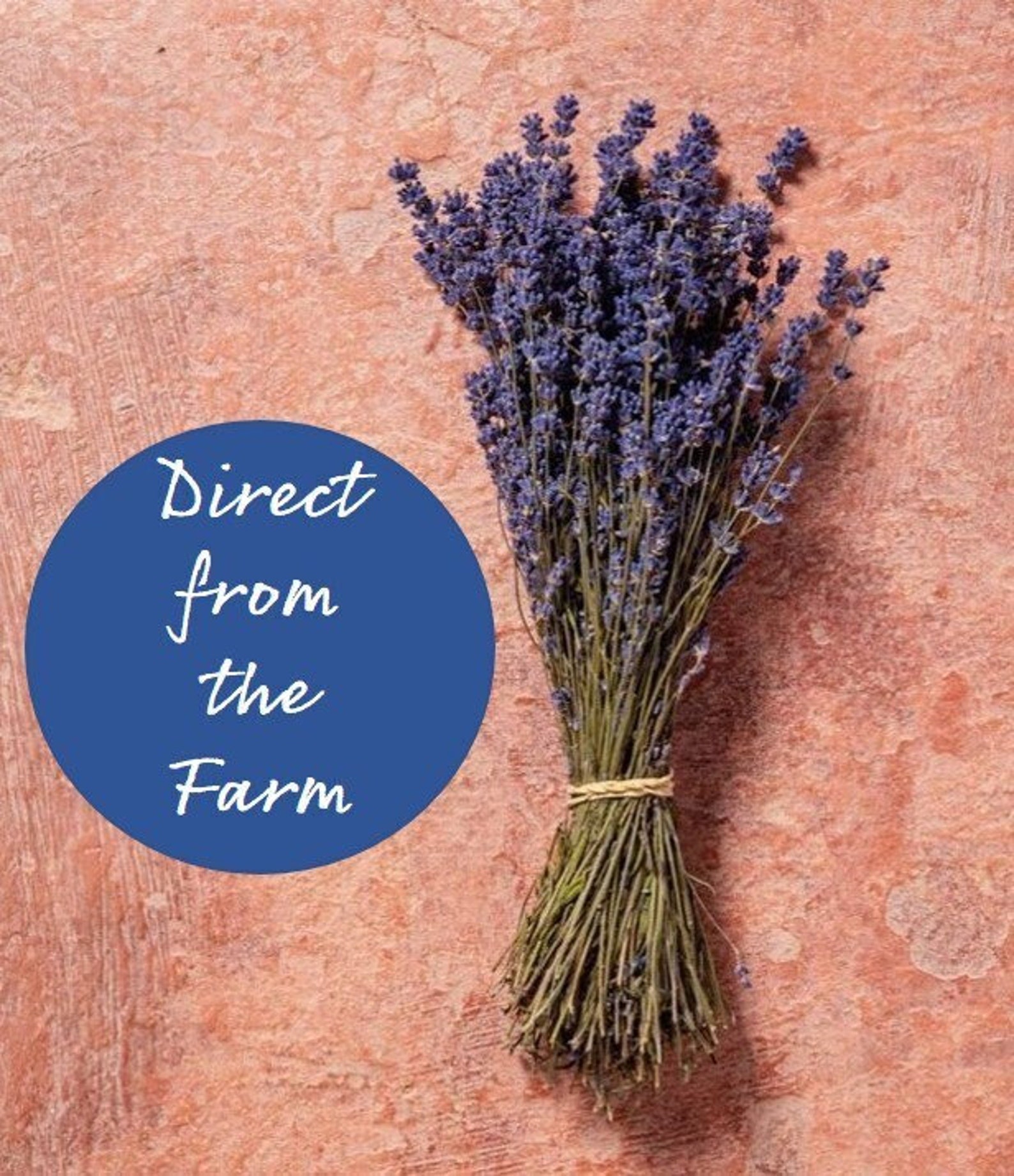 English Dried Lavender Bunches Fragrant Dark Blue UK Etsy UK