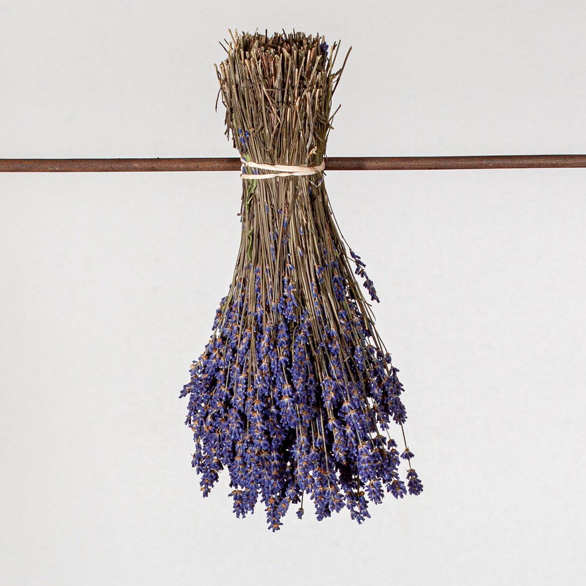 English Dried Lavender Bunches Fragrant Dark Blue UK Etsy UK