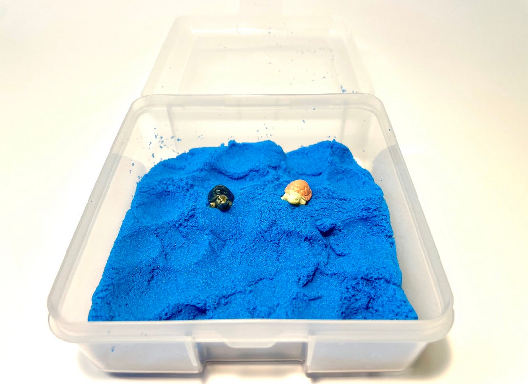Mini Sandbox Blue Sand With 2 Resin Turtles - Etsy