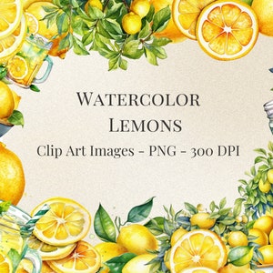 Aquarelle citron Clip Art--Format PNG--fond Transparent--Téléchargement instantané--