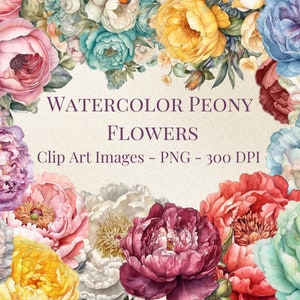 Aquarell Pfingstrose Clip Art -- PNG Format -- Transparenter Hintergrund -- Sofort Download --
