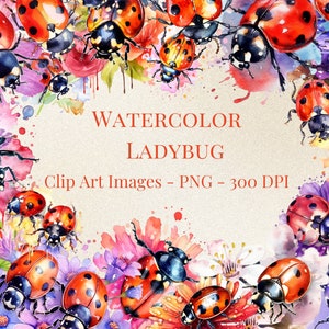 ClipArt di coccinella dell'acquerello - Formato PNG - Sfondo trasparente - Download istantaneo -
