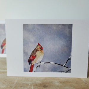 carte de voeux imprimée beaux-arts | carte de correspondance vierge | Originale | Oiseau | Faune sauvage | Pour toutes les occasions | Anniversaire, merci, meilleurs voeux et plus