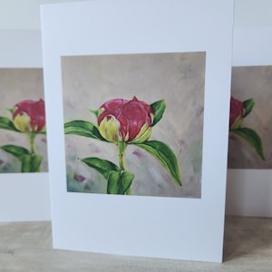 Fine Art Print Greeting Card | Blank Note Card | For Any Occasion | Original Art | For Birthdays, Thank You, and More | Floral | Red Peony