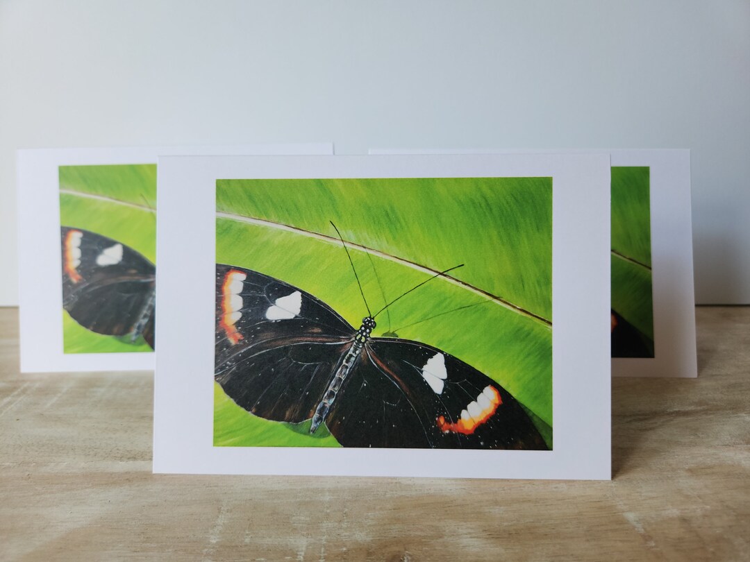 Fine Art Print Greeting Card | Blank Note Card | Original Art ...