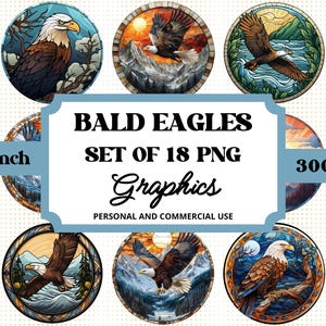 Paquete de imágenes prediseñadas de águila calva, conjunto de arte digital para sublimación, gráficos de aves silvestres para uso personal o comercial, escena de la naturaleza PNG