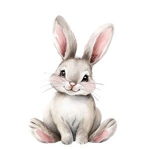 Watercolor bunny png clipart for baby shower invitation cards, bunny art, cute animals decor, baby shower gift, clipart png, downloadable