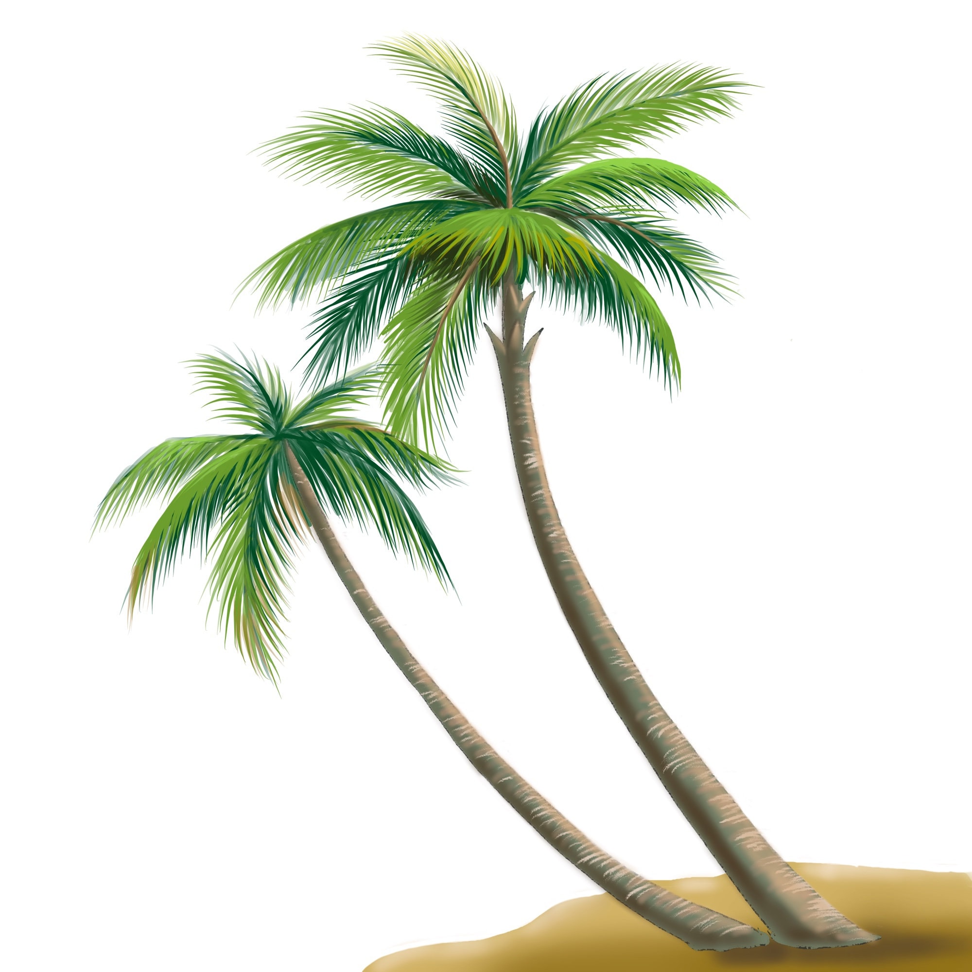 Palm Tree Palm Tree PNG Palm Tree Digital Digital Download Palm palm-tree-palm-tree-png-palm-tree-digital-digital-download-palm