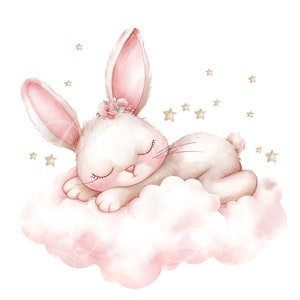Animal acuarela, animal de guardería, conejito bebé, arte lindo, imágenes prediseñadas de animales lindos, png popular, imágenes prediseñadas de baby shower, imágenes prediseñadas de acuarela