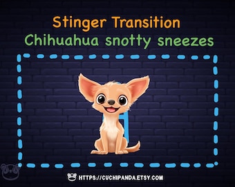 Stinger Transition for Twitch, Chihuahua Dog snotty sneezes transition, Stream Overlay, Vtuber
