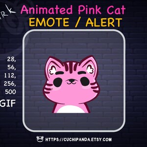 Animated  Pink Cat Emote, Alert, Smirk Emote, Eyebrows