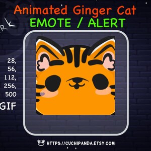 Animated Cat Emote, Ginger Cat Alert, Smirk Emote, Eyebrows