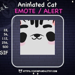 Animated Cat Emote, Alert, Smirk Emote, Eyebrows
