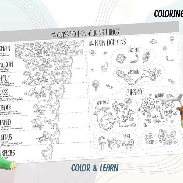 Cycle 1 Science coloring placemat page memory work CLASSIFICATION of LIVING THINGS