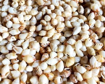 Hawaiian momi shells