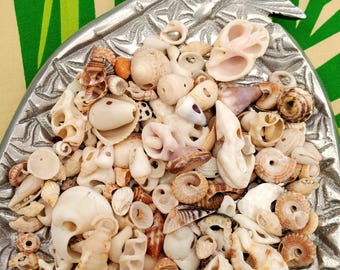Natural puka in a vary of Hawaiian seashells to string!