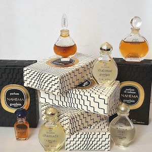 Könnte beinhalten: Eine Sammlung von Guerlain Miniatur-Parfümflakons, darunter Nahema, Shalimar, Chamade und Jicky, präsentiert mit den dazugehörigen schwarz-weiß gezackten Schachteln. Die Glasflakons haben verschiedene Formen und durchsichtige Verschlüsse.
