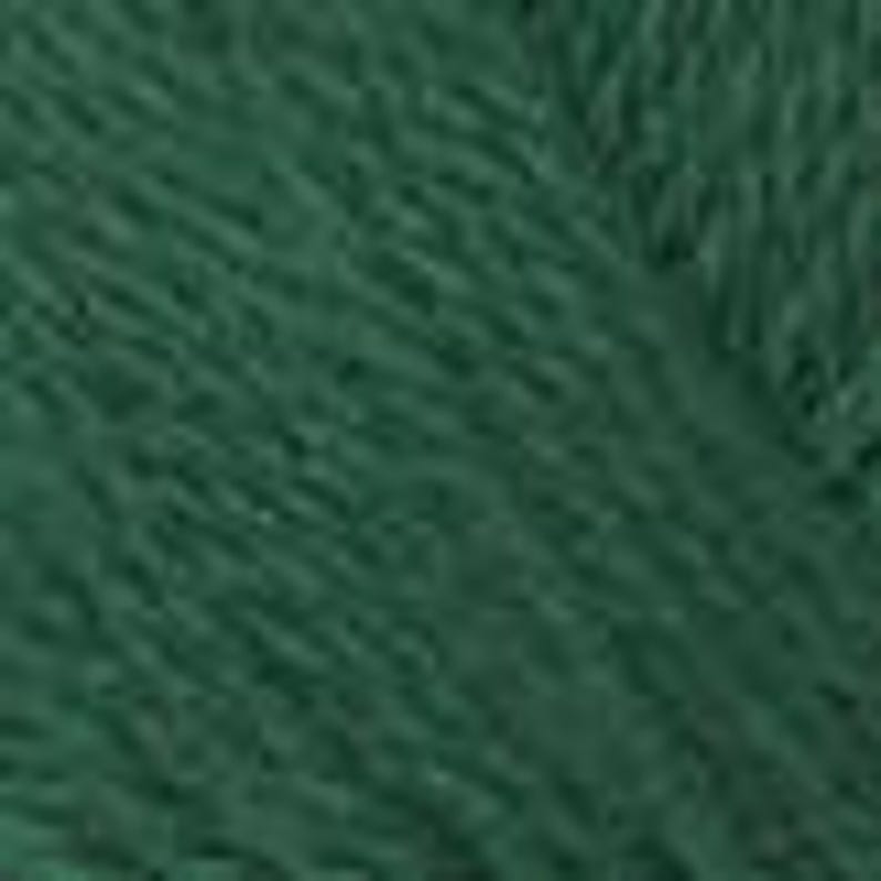 May include: Close-up of a skein of dark green yarn. The yarn appears to be a soft, textured material, with visible diagonal strands. The colour is a deep, forest green, suitable for knitting or crocheting projects.