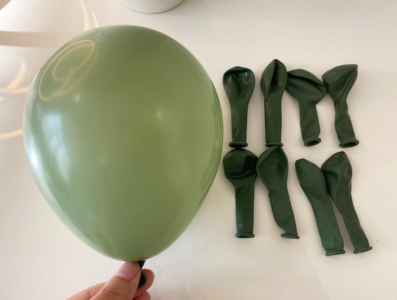 May include: A large sage green balloon next to nine smaller sage green balloons. The balloons are all deflated.