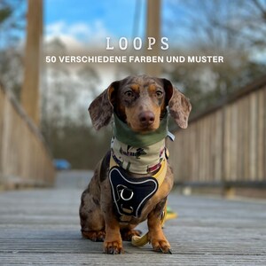 Könnte beinhalten: Ein braun-getigerter Dackel mit grünem Halstuch und schwarzem und gelbem Geschirr. Über dem Hund steht in weißer Schrift "LOOPS", darunter "50 VERSCHIEDENE FARBEN UND MUSTER".