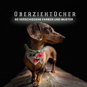 Może przedstawiać: Brązowy i czarny szczeniak rasy dachshund w jasnoniebieskim bandanie z kwiatowym wzorem. Bandana ma czerwone, różowe i zielone kwiaty. Pies stoi na kamiennej powierzchni. Tekst "ÜBERZIEHTÜCHER 60 VERSCHIEDENE FARBEN UND MUSTER" znajduje się w górnej części obrazu.