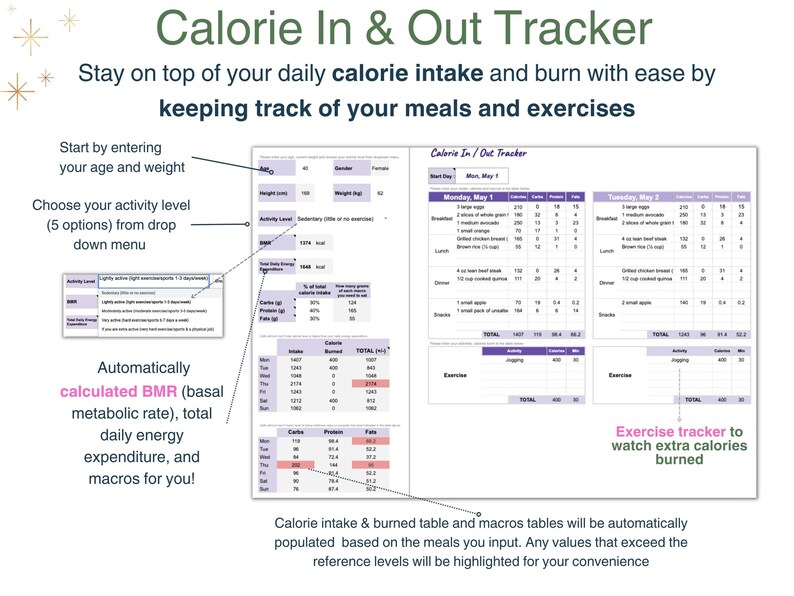 Weight Loss Tracker, Weight Loss Journal, Body Measurement Tracker