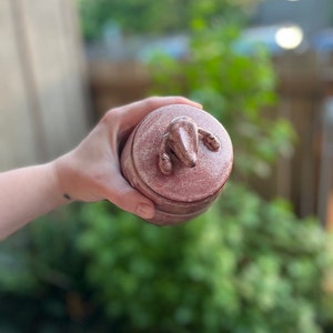 Jar with miniature cervix, uterus, ovaries and uterine tubes sculpted topper