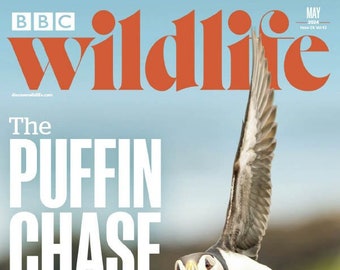 BBC Wildlife Magazine – May 2024