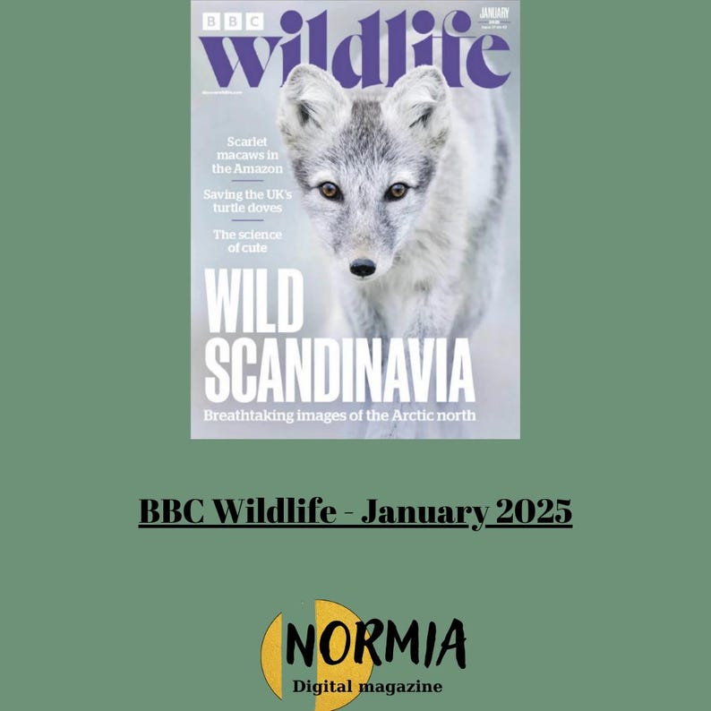 BBC Wildlife January 2025 Etsy