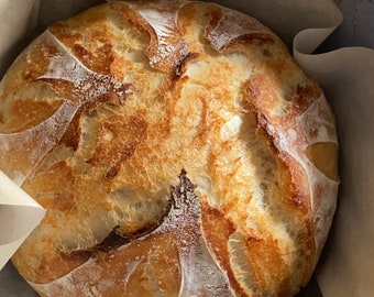 Receta de pan de masa fermentada para principiantes Descarga digital