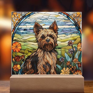 Yorkie Cockapoo Etsy
