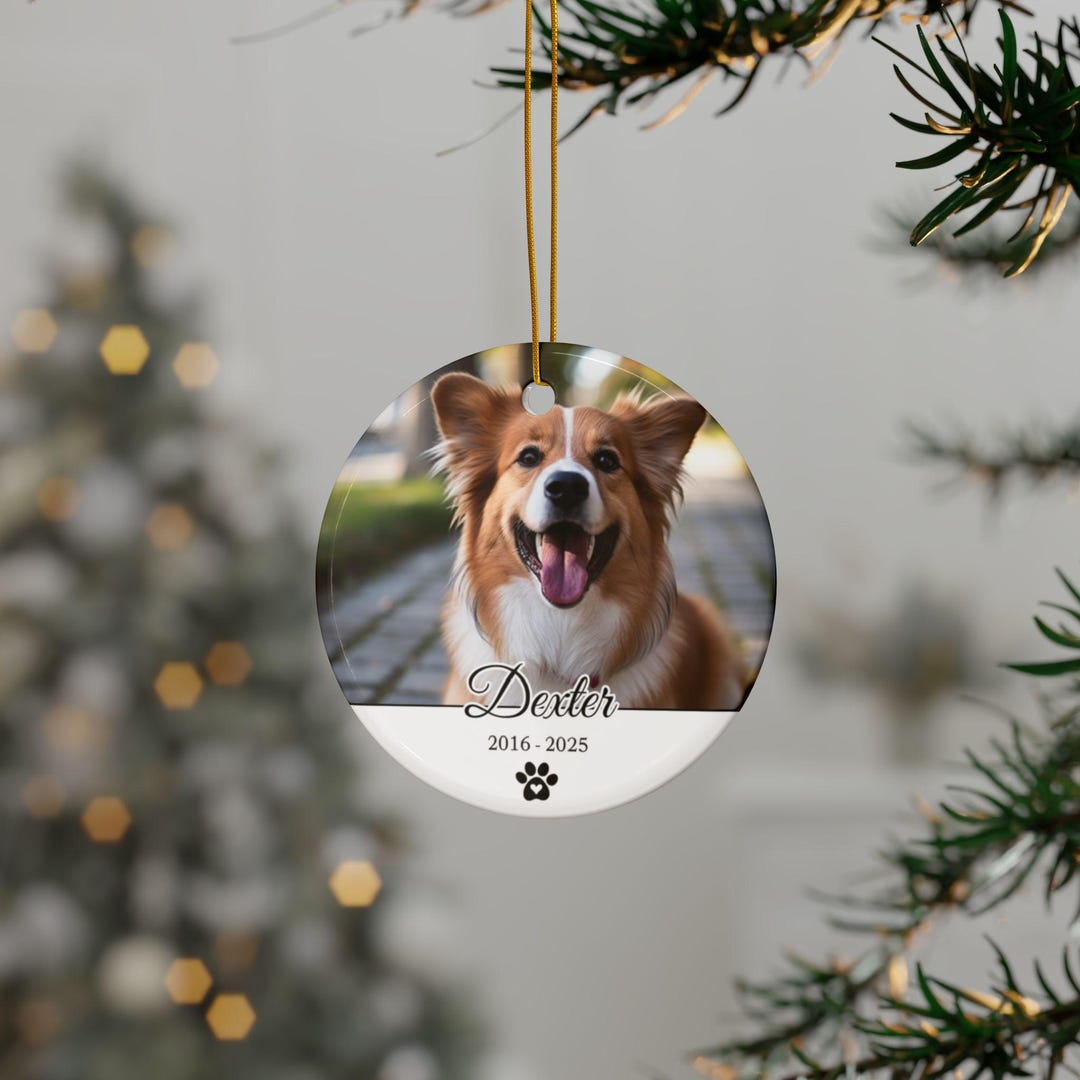 Personalized Pet Memorial Ornament for Dog Loss Keepsake for Pet Owner ...