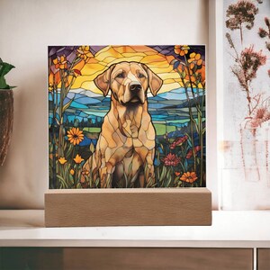 Labrador Retriever Faux Stained Glass Acrylic Plaque Gift For Dog Mom Gifts For Dog Person Gift For Pet Owner Gift For Dog Memorial Plaque
